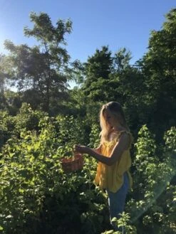 Apiece ApartEmile Top - Sun -ULLA JOHNSON Clothing Shop Apiece Apart Emile Top Sun 20191029205749