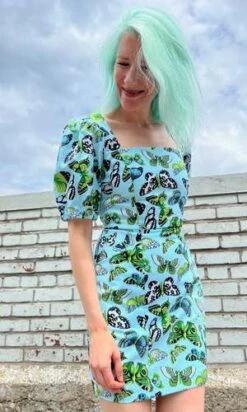 Birds Of North AmericaChickadee Dress - Butterflies -ULLA JOHNSON Clothing Shop Birds of North America Chickadee Dress Butterflies 20230811002336