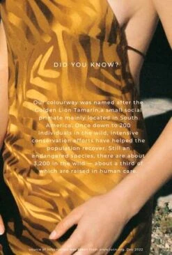 Silk LaundryBIAS CUT PANTS - TAMARIN -ULLA JOHNSON Clothing Shop Silk Laundry BIAS CUT PANTS TAMARIN 20230216030348