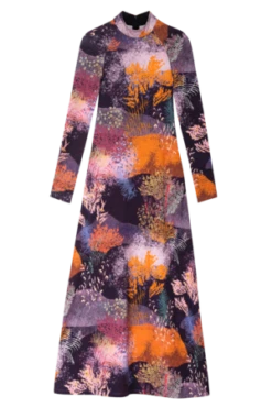 Untitled In MotionSpeculus Dress - Tramuntana